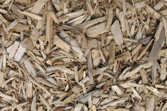 biomass boilers Graianrhyd